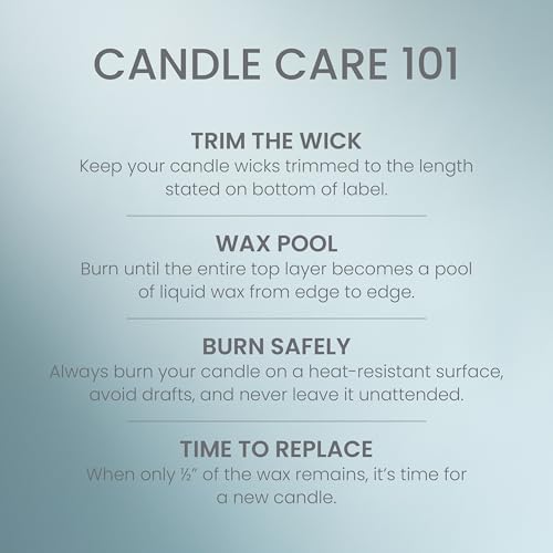 Yankee Candle Balsam & Cedar, Holiday Scented Candle, 22oz Large Jar with up to 150 Hour Burn Time, Giftable