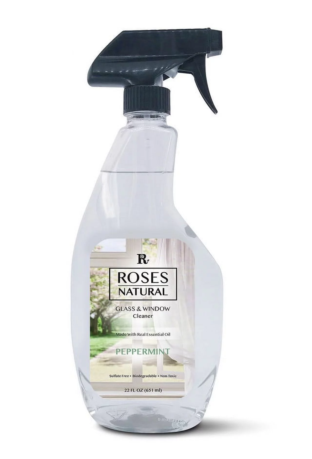 Glass & Window Cleaner 22 oz