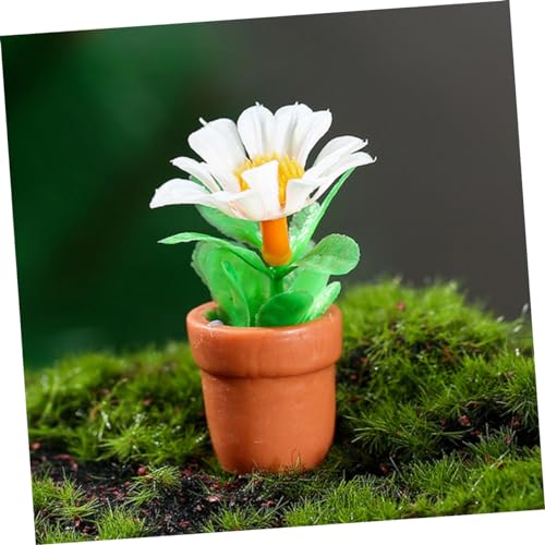 TOYANDONA 20 Pcs Mini Plant Model Home Decor Doll House Mini Bonsai Prop Tiny Bonsai Model Miniature Decor Artificial Mini Plants Adorn Tiny House Decor Finished Product Small House Resin