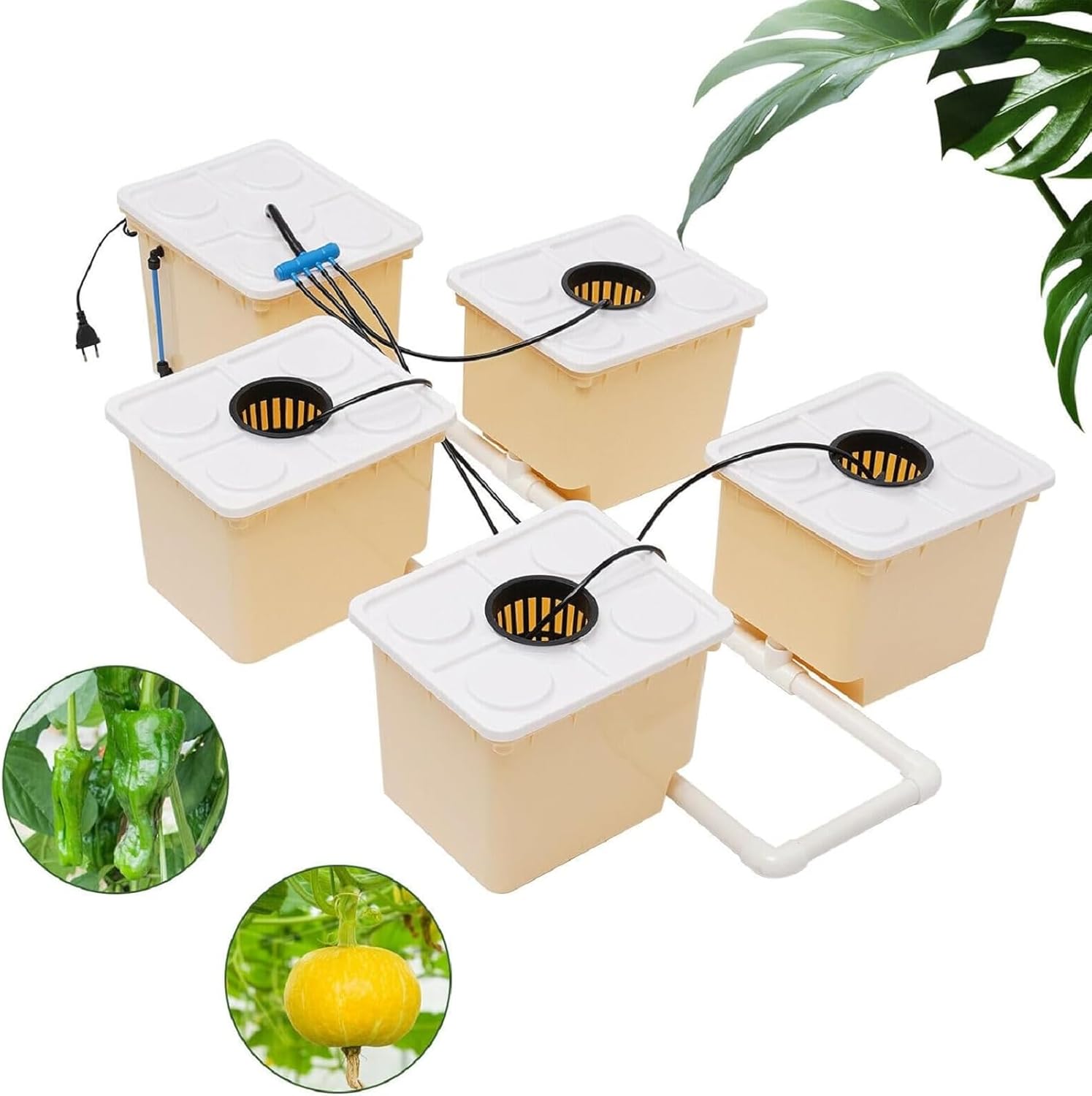 DWC Hydroponics System, 2.91 Gallon Deep Water Culture Growing System with 5 Sites Dutch Buckets and Lids, Recirculating Hydroponic Planter Kit for Cultivating Sorrel Tomatoes Peppers