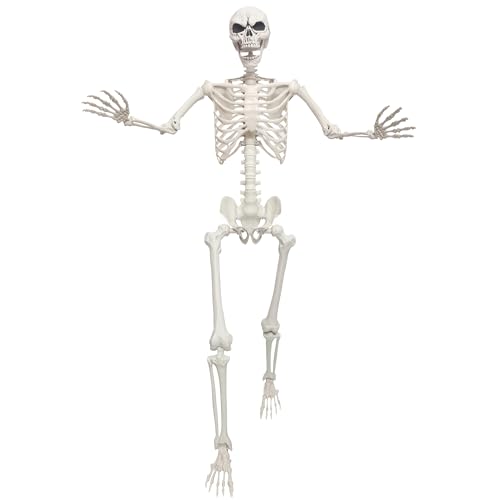 Lodou 5.4ft/165cm Life Size Skeleton,Giant Skeleton Full Body Realistic Bones with Movable Joints for Halloween Decorations Outdoor (Gray, 5.4Ft)