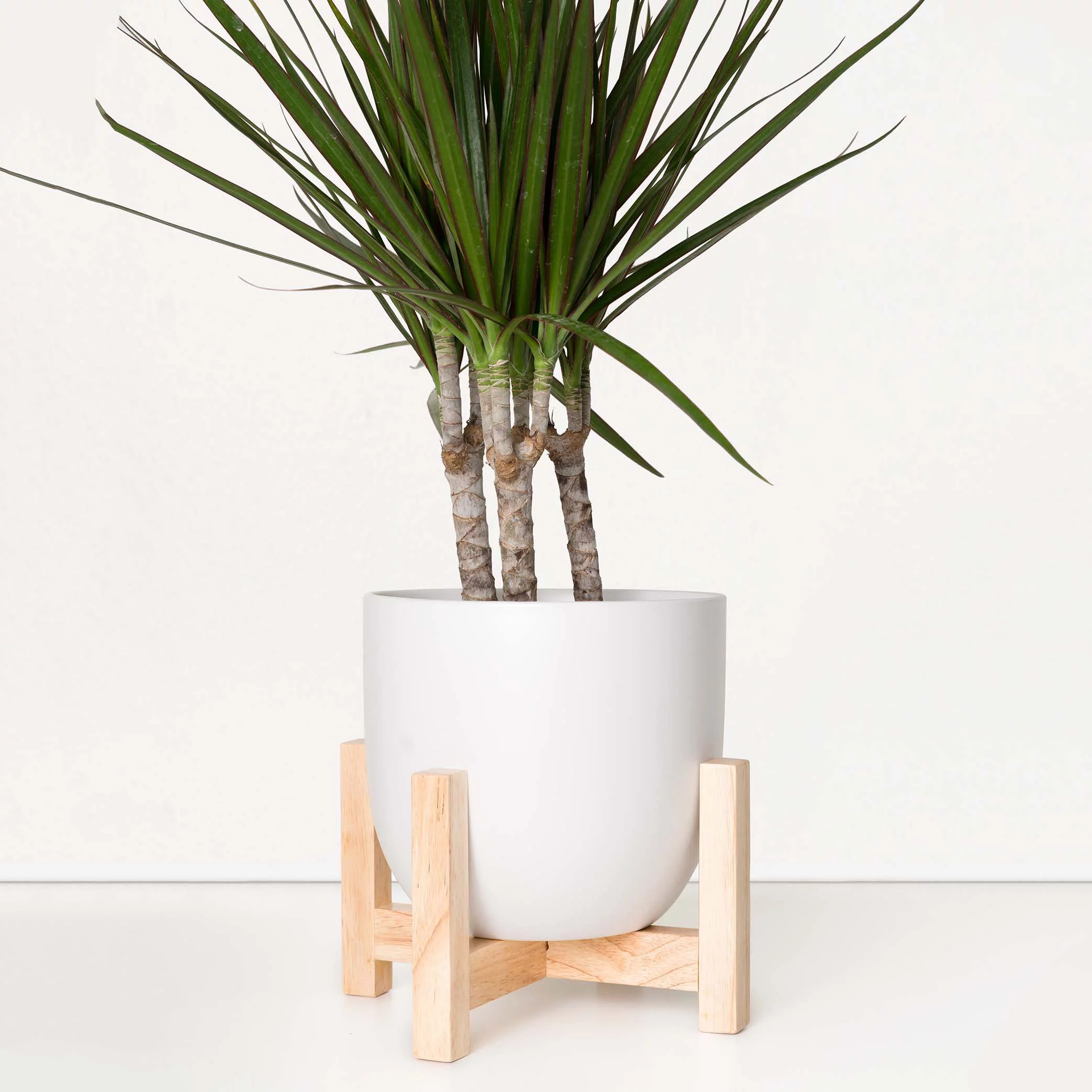 Peach & Pebble 7 in. White Ceramic Egg Shaped Indoor Planter + Medium Wood Stand (7 in. to 12 in.)