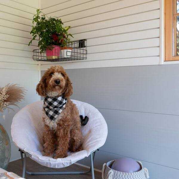 Trusscore 1/2 in. x 16 in. x 8 ft