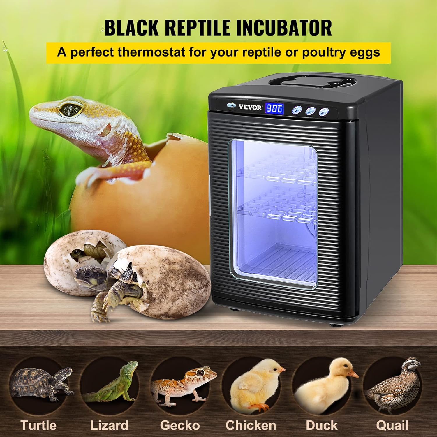 Happybuy Reptile Incubator Scientific Lab Incubator 25L Automatic Incubator Cooling and Heating 5°C to 60°C 12V/110V Reptile Egg Breeding Hatchery Work for Snakes Wall Lizard and Turtles