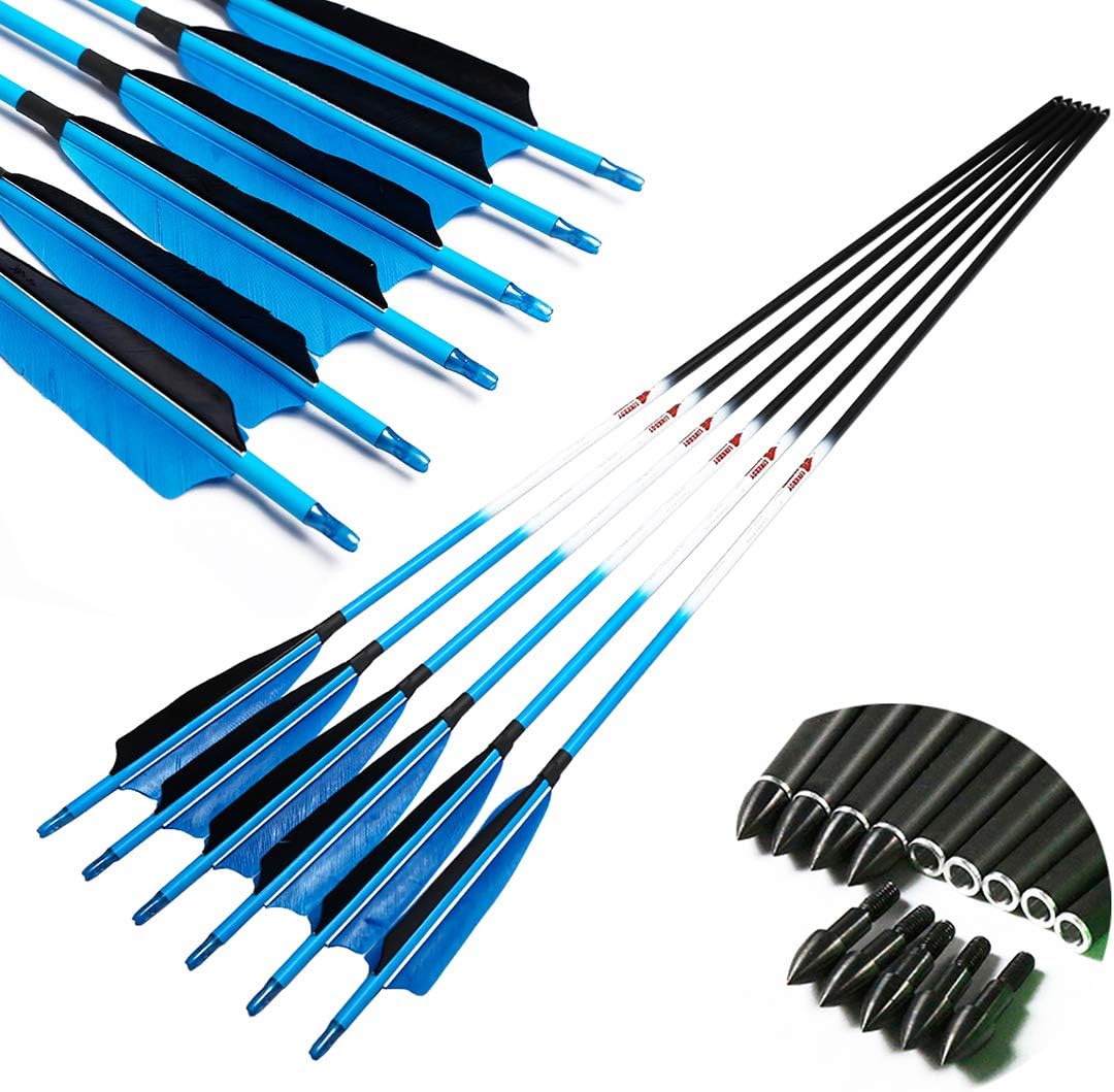 Linkboy Archery Carbon Arrows Hunting Practice Target Arrows Fluorescent with Removable Tip for Compound Recurve Long Bows, Spine 300 340 400 500 600, Pack of 6/12PCS