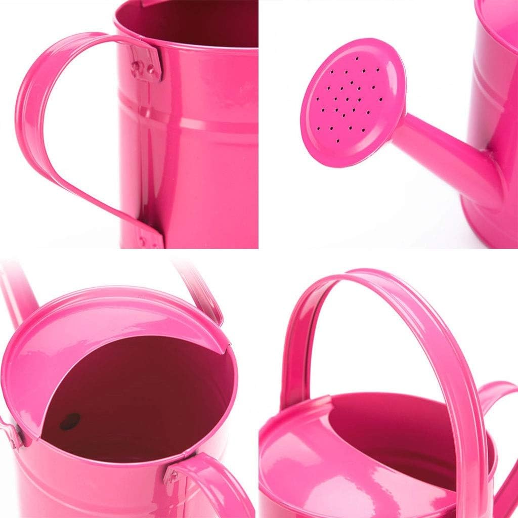 Watering Cans Iron Sprinkler, Home Green Plant Flower Pouring Kettle Iron Spray Bottle, 1.5L Watering Can Large Capacity Spout Water Can GuShe (Bianco)