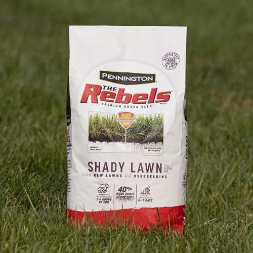 Pennington The Rebels Tall Fescue Shady Grass Seed Mix 20 lb