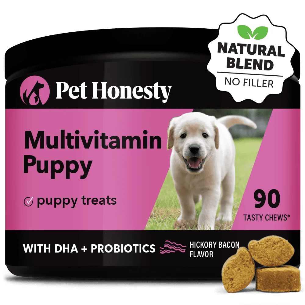 Pet Honesty Puppy Multivitamin Supplements w DHA and Probiotics, Hickory Bacon Flavor, 90 Count Soft Chews