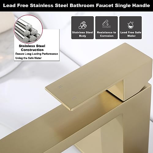 Brushed Gold Vessel Sink Faucet - Tall Single Hole Bathroom Faucet with Pop Up Drain, AML-11411-BG