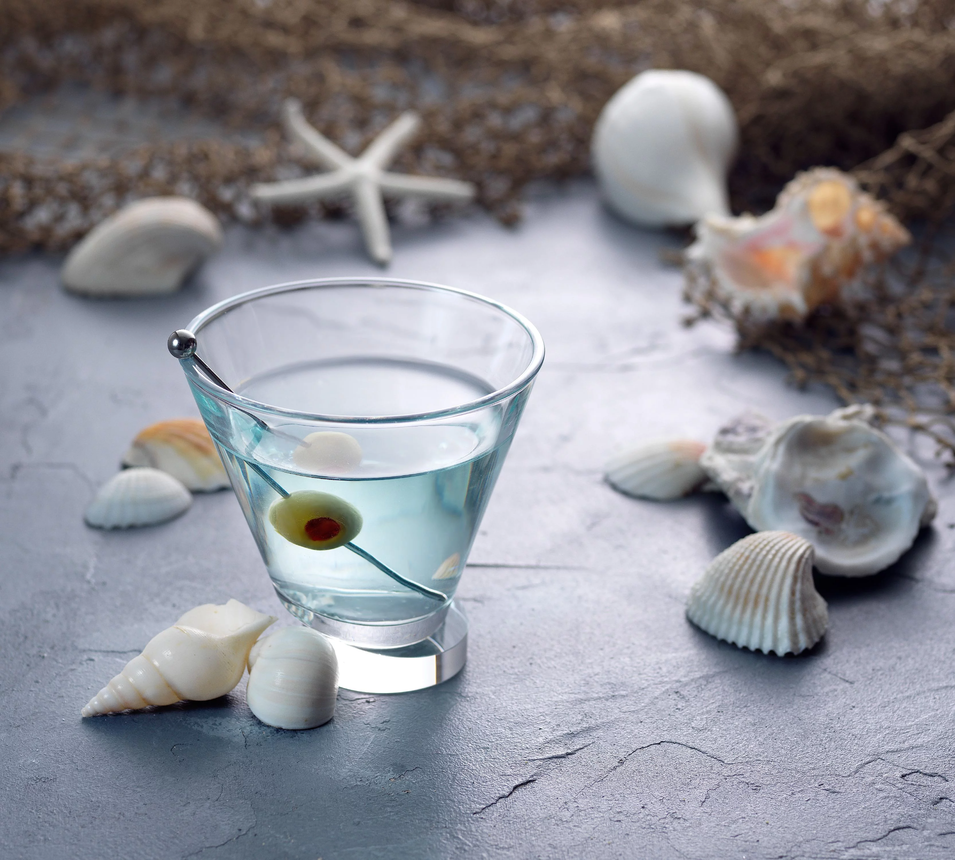 JoyJolt Award Winning Aqua Vitae Round Martini Glasses (Set of 2)