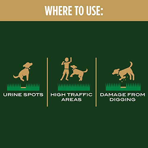 Scotts EZ Seed Patch & Repair Tall Fescue Lawns - 10 lb., Combination Mulch, Seed, and Fertilizer Mix with Tackifier, Repairs Bare Spots, Covers up to 225 sq. ft.