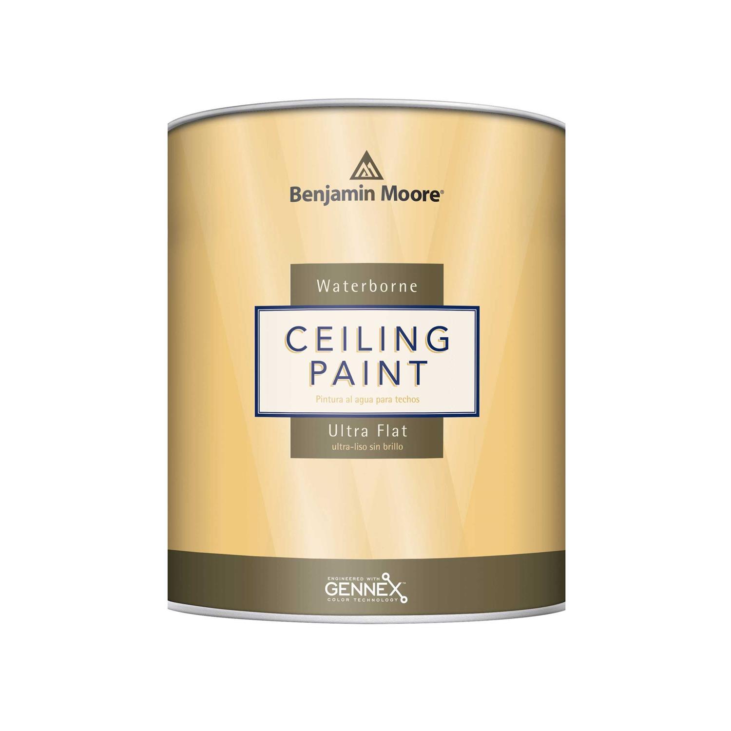 Benjamin Moore Waterborne Ceiling Paint