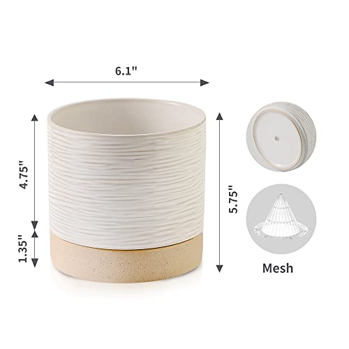 Nihow Self Watering Plant Pot: 6 Inch Ceramic Planter with Drainage Hole & Water Storage Plus for Indoor & Outdoor Plants - Cylinder Round Flower Pot for Succulent/Herbs/Violets - White & Black