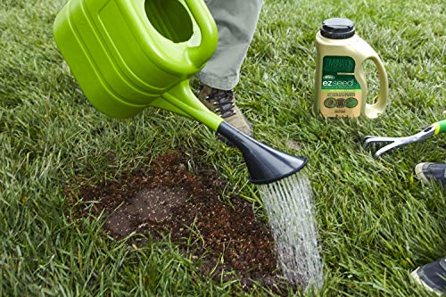 Scotts EZ Seed Patch & Repair Tall Fescue Lawns - 10 lb., Combination Mulch, Seed, and Fertilizer Mix with Tackifier, Repairs Bare Spots, Covers up to 225 sq. ft.