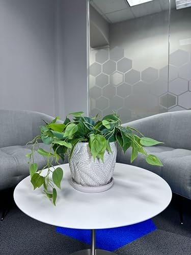 Garden & Home White 7 Inch Indoor Ceramic Planter Pot with an Attached Saucer and Drainage Hole for House Plants, Herbs, Flowers, Succulent Plants, Snake Plants, Plant Container, Gifts for Mom