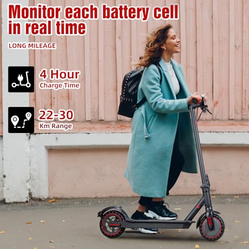 Electric Scooter, 350W/500W, 8.5