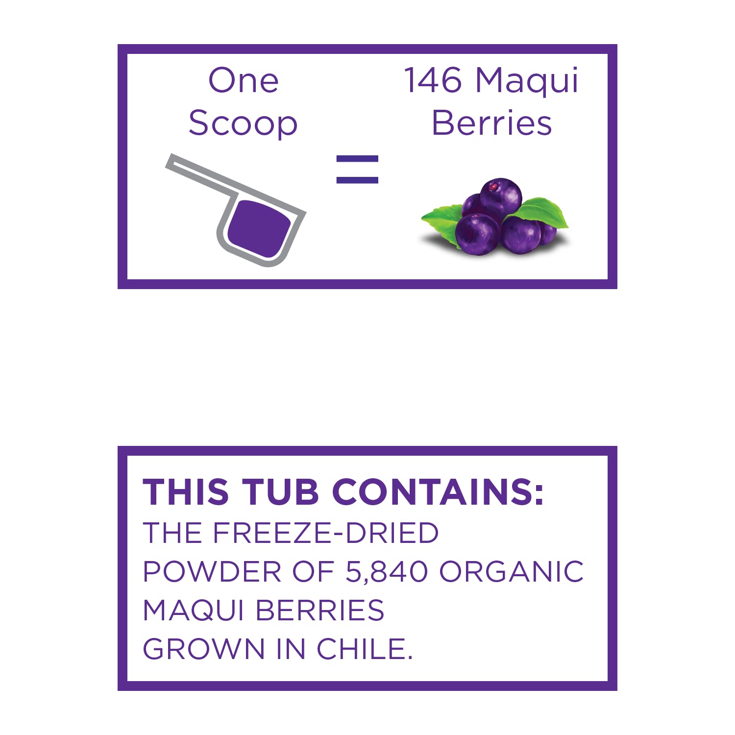 KOYAH - Organic Maqui Powder 40 Servings (1 Scoop = 146 Berries or 1/8 Cup Fresh), Chile Grown, Freeze-dried, Whole-Berry Powder