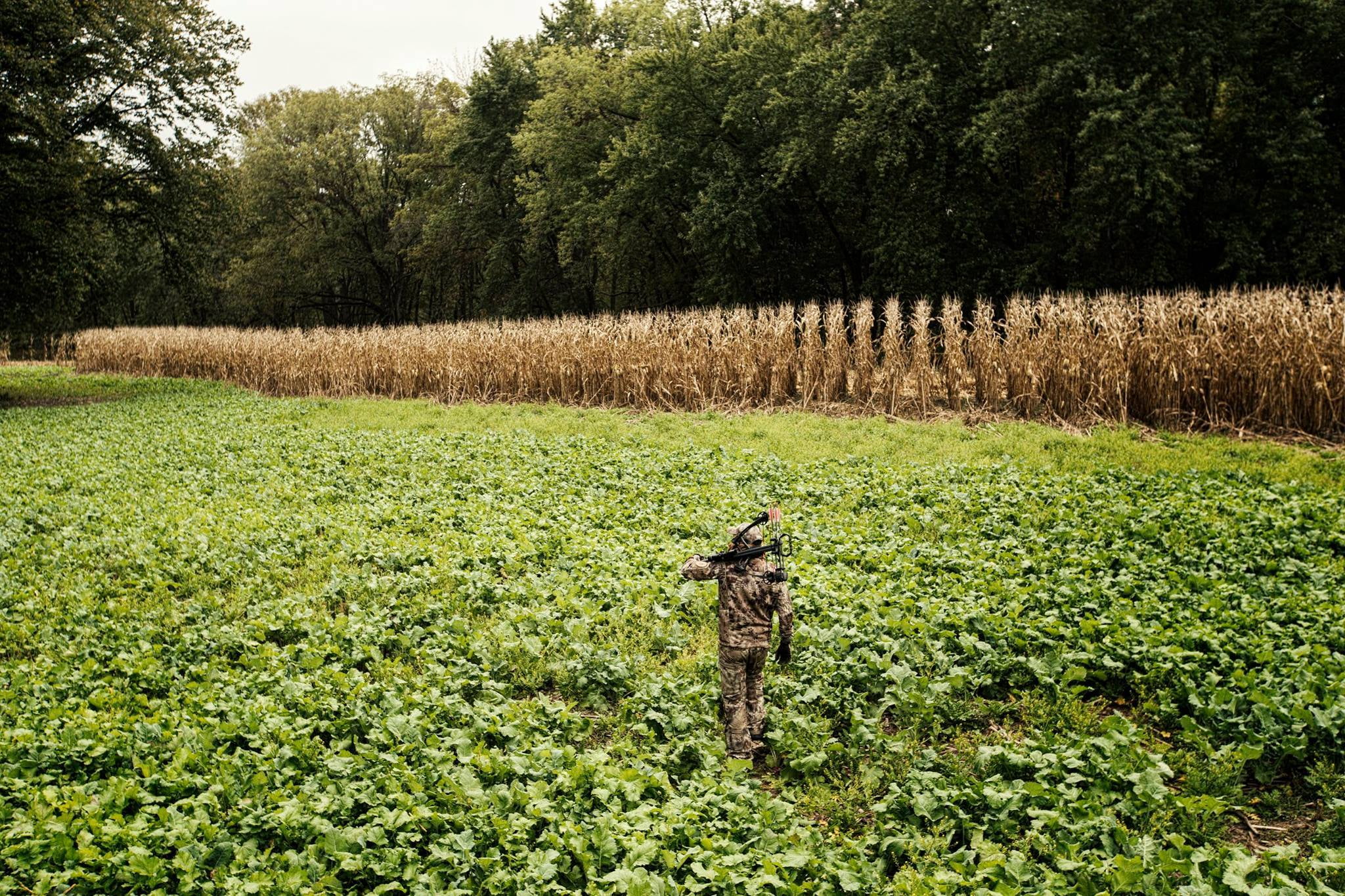 Evolved Harvest Mega Plot Hunter Series Wild Game Food Plot Seed, High Protein