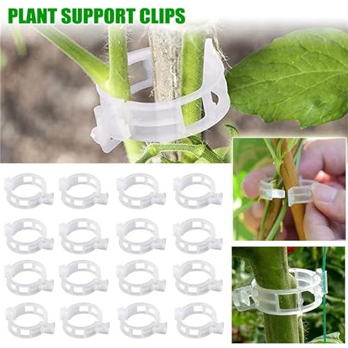 Plant Support Clips, Garden Clips for Climbing Plants, Grape Vine Fixing Clips, 100Pcs Tomato Vegetables Trellis Clips to Grow Upright Makes Plants Healthier (150)