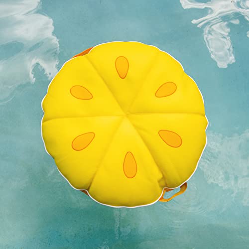 Big Joe Fruit Pool Floats, No Inflation Needed, Quick Draining Fabric, Round Loungers and Pool Noodles