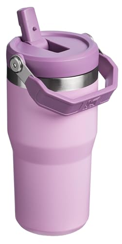 Stanley IceFlow Flip Straw Tumbler with Handle 30 oz | Twist On Lid and Flip Up Straw | Leak Resistant Water Bottle | Insulated Stainless Steel |BPA-Free | Lilac