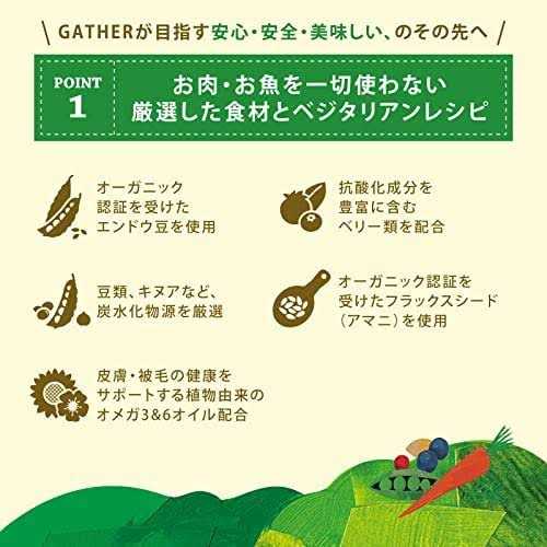 Gather Endless Valley Vegan Recipe with Organic Peas Adult Dry Dog Food - Pet Supplies online store