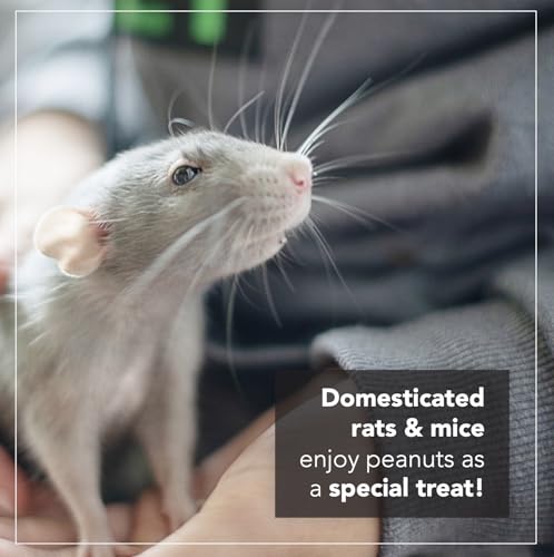 Wildlife Feed Raw Peanuts (50 LBS) - Our in-Shell Peanuts are The Ideal Critter Food to Attract Squirrels, Birds, Deer and Other Diverse Wildlife.