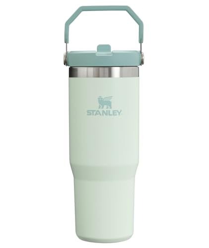 Stanley IceFlow Flip Straw Tumbler with Handle 30 oz | Twist On Lid and Flip Up Straw | Leak Resistant Water Bottle | Insulated Stainless Steel |BPA-Free | Lilac