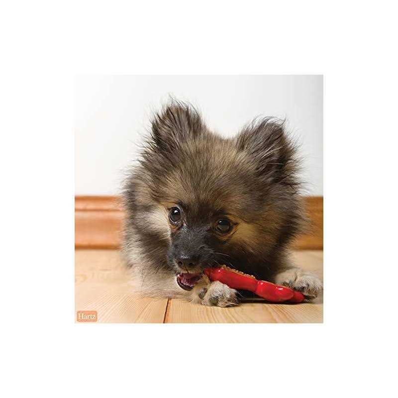 Hartz Chew 'n Clean Dental Duo Dog Chew Toy Treat - Pet Supplies online store