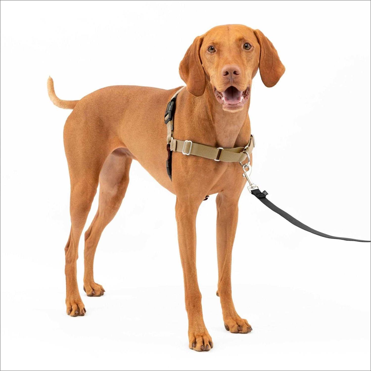 PetSafe Easy Walk Dog Harness - Pet Supplies online store