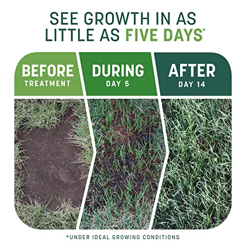 Pennington Smart Seed Sun and Shade Grass Mix 7 lb