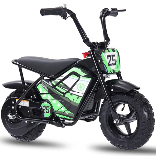 Electric Bike for Kids E Bikes Mini Dirt Bike Motorbike 250W 24V 9Ah Eletric Scooter Fast Dirtbike 2-Speed 10/12Mph 3-10 Old Teens Moped