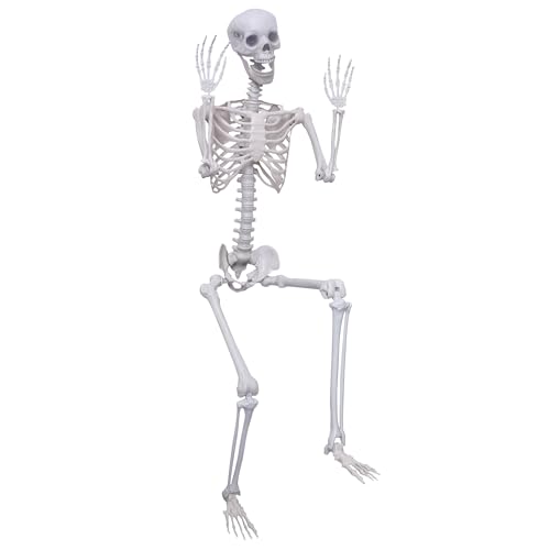 5.9Ft Halloween Life Size Skeleton Posable Skeleton Full Body Plastic Human with Adjustable Joints for Outdoor Indoor Halloween Decoration