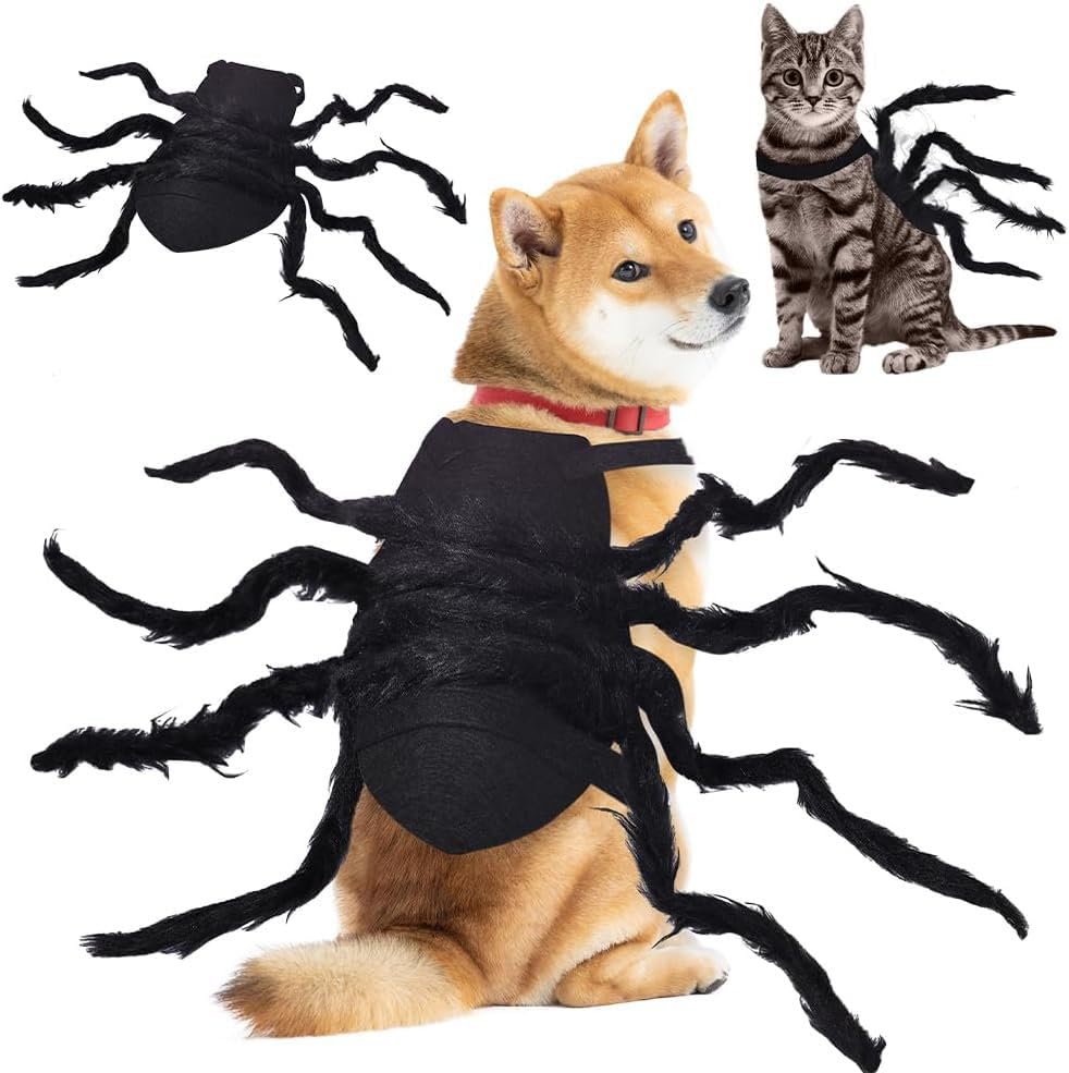 Halloween pet Spider Dress up Clothes