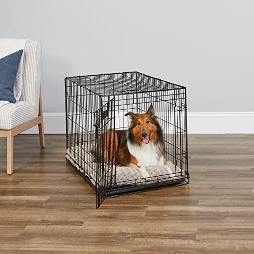 MidWest Homes for Pets Newly Enhanced Single & Double Door iCrate Dog Crate, Includes Leak-Proof Pan, Floor Protecting Feet, Divider Panel & New Patented Features