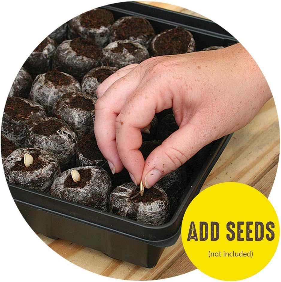 Jiffy 42mm Seed Starting Greenhouse Kit with 25 Biodegradable Expanding Peat Pellets