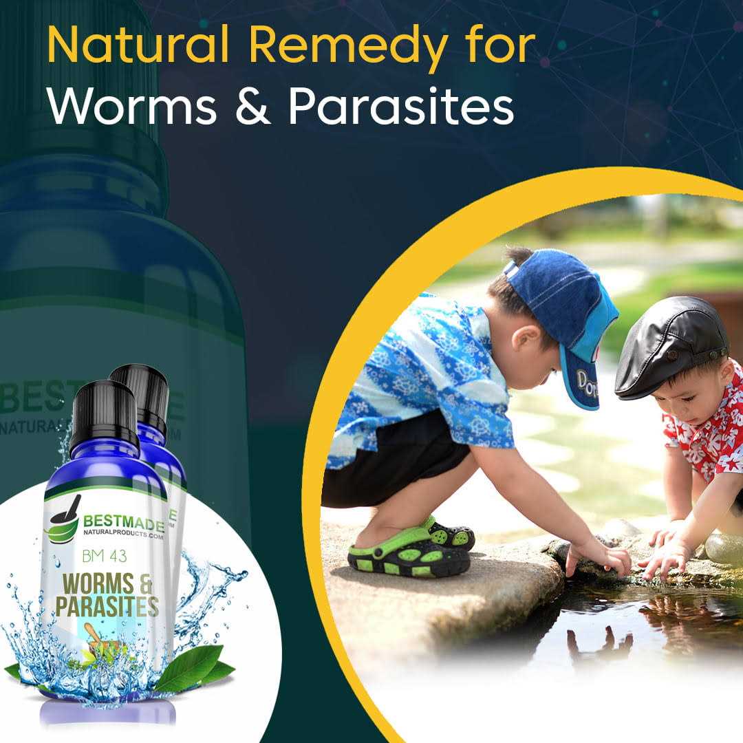 Bestmade Natural Products Worms and Parasites Remedy for Humans Bm43 - Pet Supplies online store