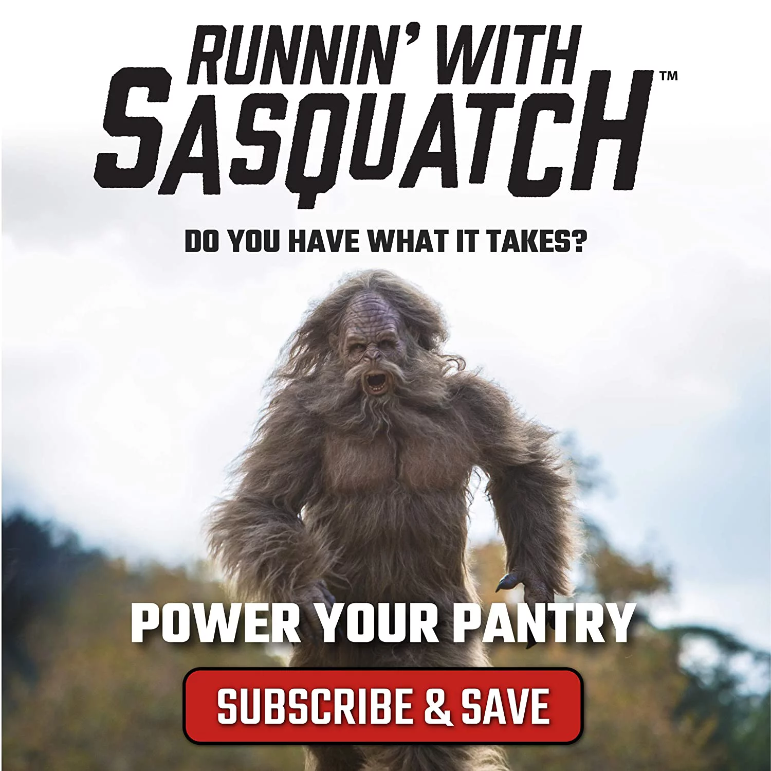 Product Of Jack Link Beef Steak, Peppered Jumbo, Count 12 (2 oz) - Jerkys / Grab Varieties & Flavors