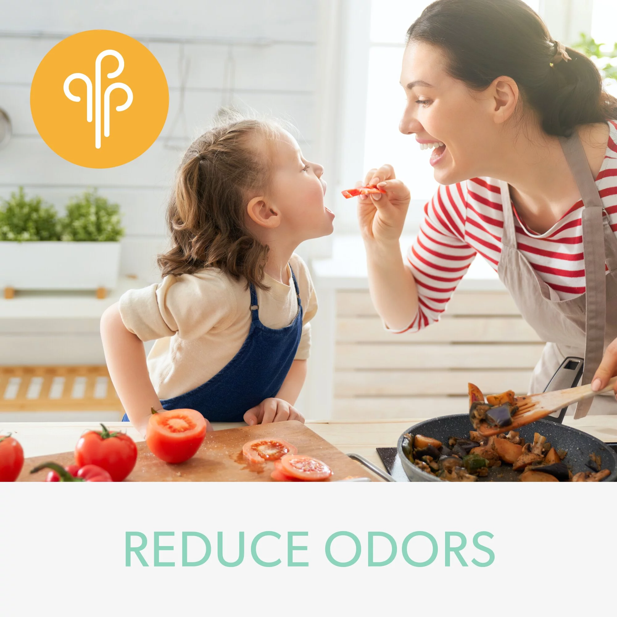 DuPont Odor & VOC Filter with True HEPA for TruSens Large Air Purifier