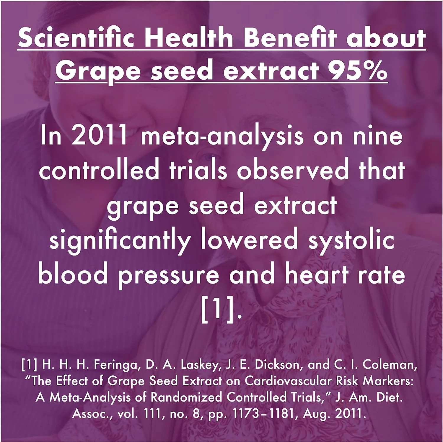 HealthyHey Nutrition Grape Seed Extract | Maximum Strength | 95% Polyphenols | 3 Month Supply | 90 Veggie Caps | (Pack of 1)