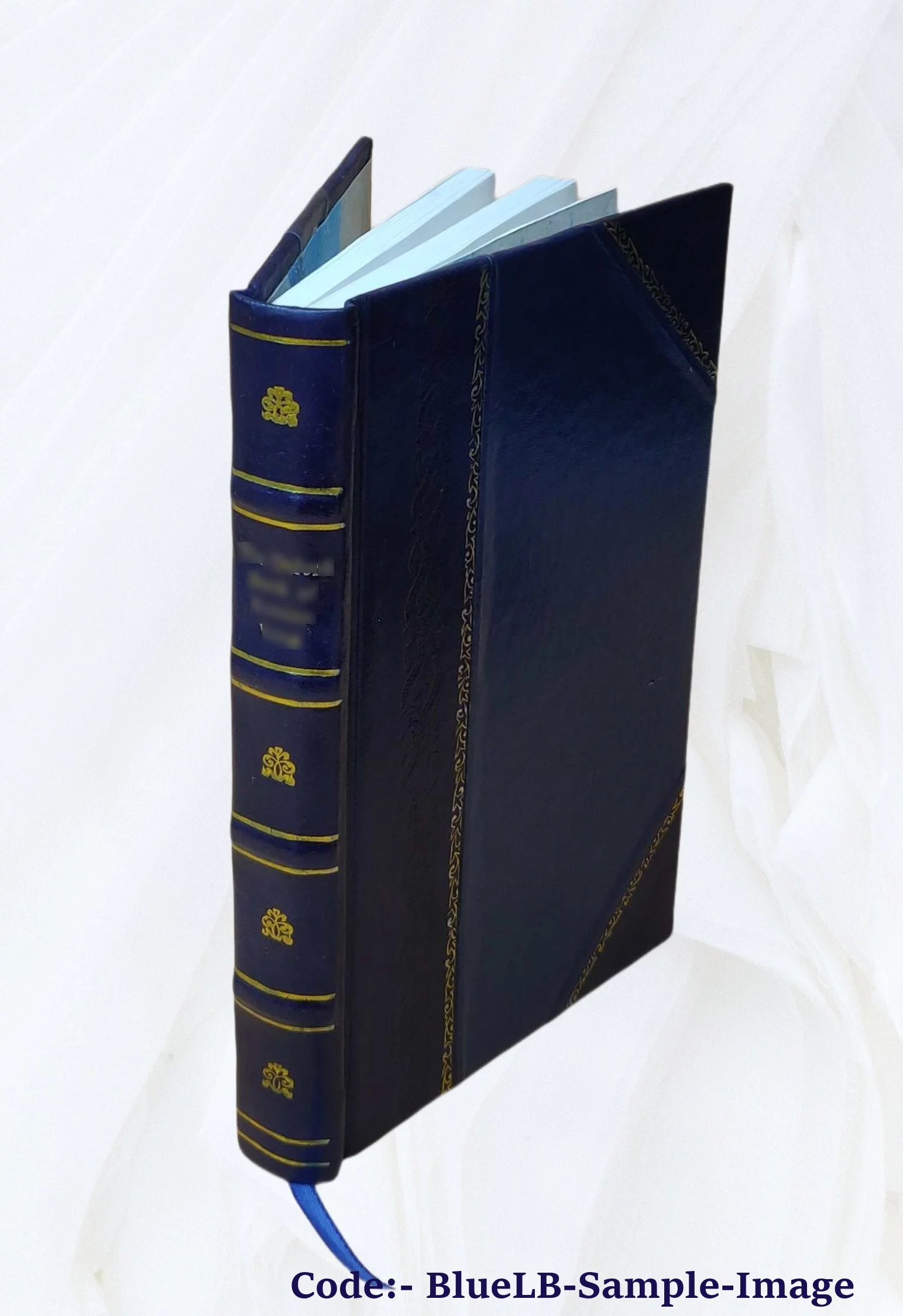 The book of the visions & instructions of blessed Angela of Foligno 1903 [Leather Bound]
