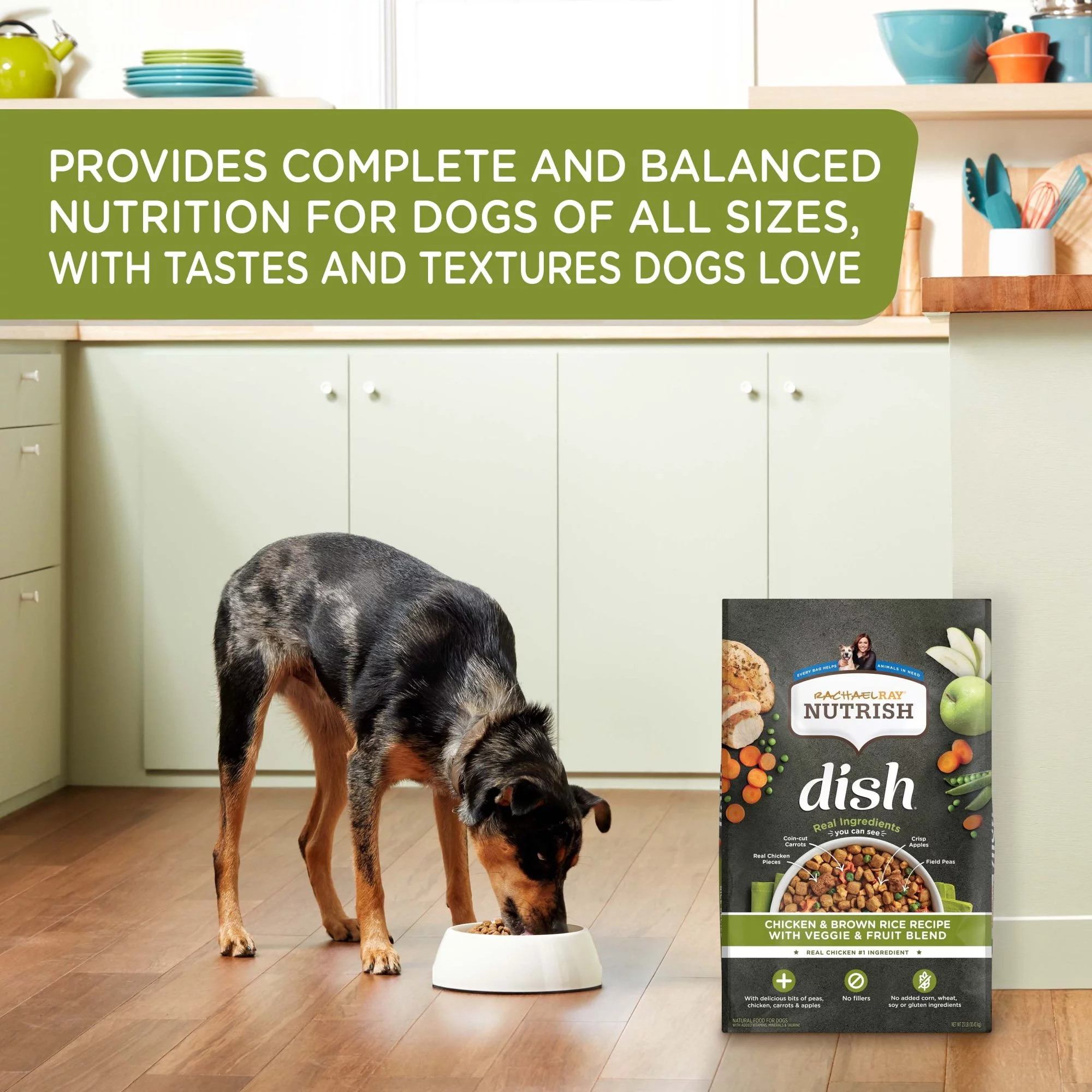 Rachael Ray Nutrish Dish Natural Premium Dry Dog Food, Chicken & Brown Rice Recipe With Veggies & Fruit, 11.5 Lbs