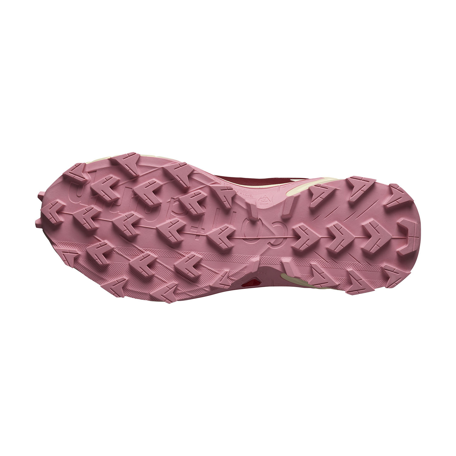 Salomon Supercross 4 GTX Cow Hide/Syrah/Blush