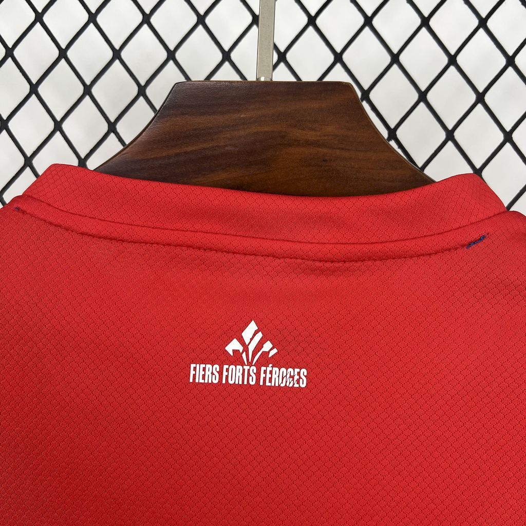 Lille 25/26 home jersey kit shirt