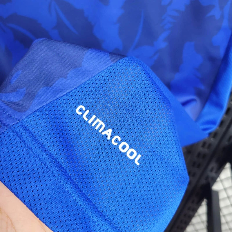 Japan Retro 2010 home jersey kit shirt