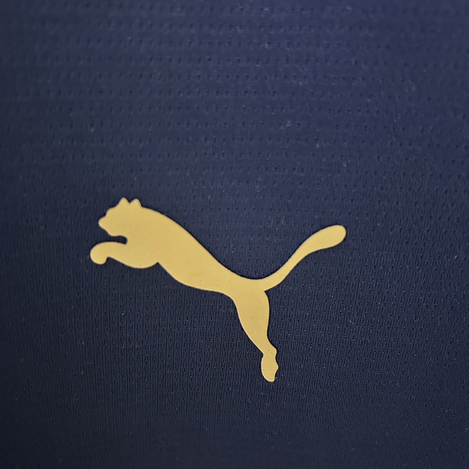 Portugal 25/26 Training clothes blue jersey kit shirt