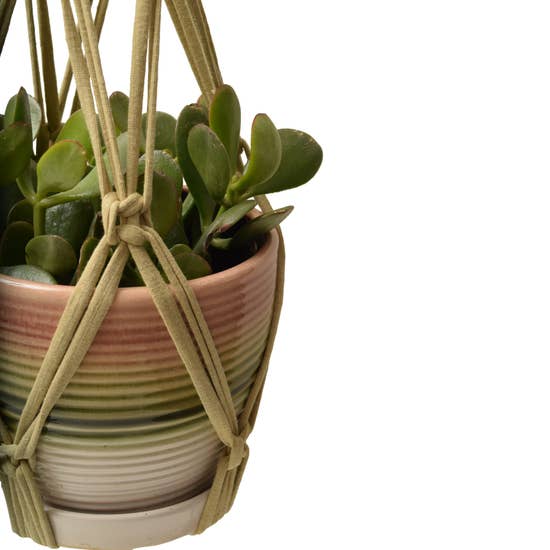 DIY Eco Macram�� Plant Hanger Kit