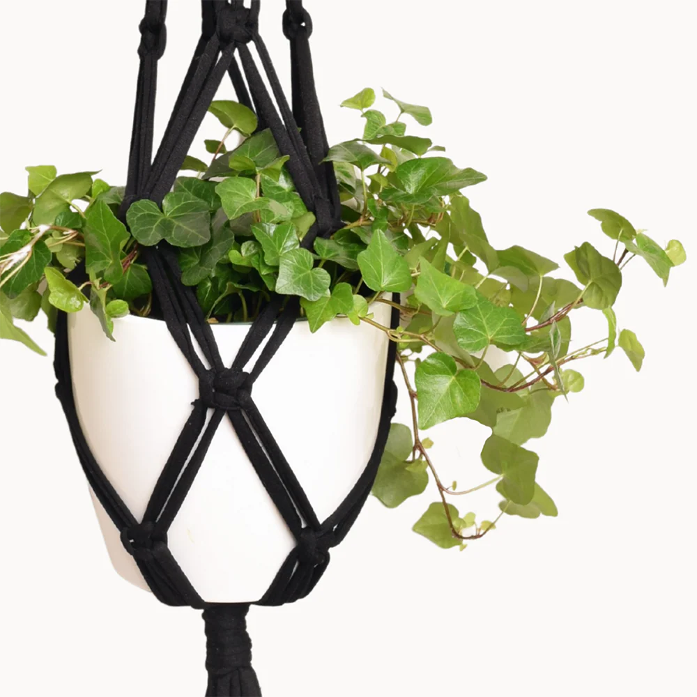 DIY Eco Macram�� Plant Hanger Kit