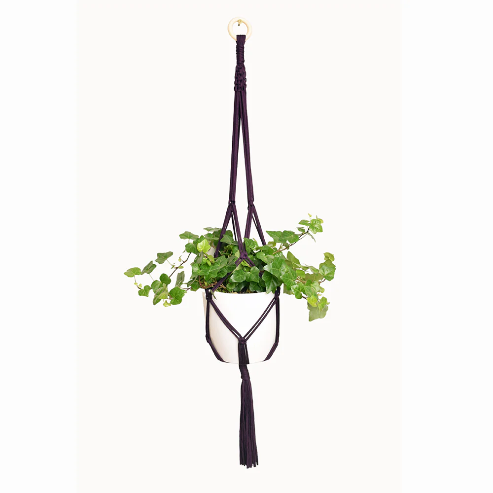 DIY Eco Macram�� Plant Hanger Kit