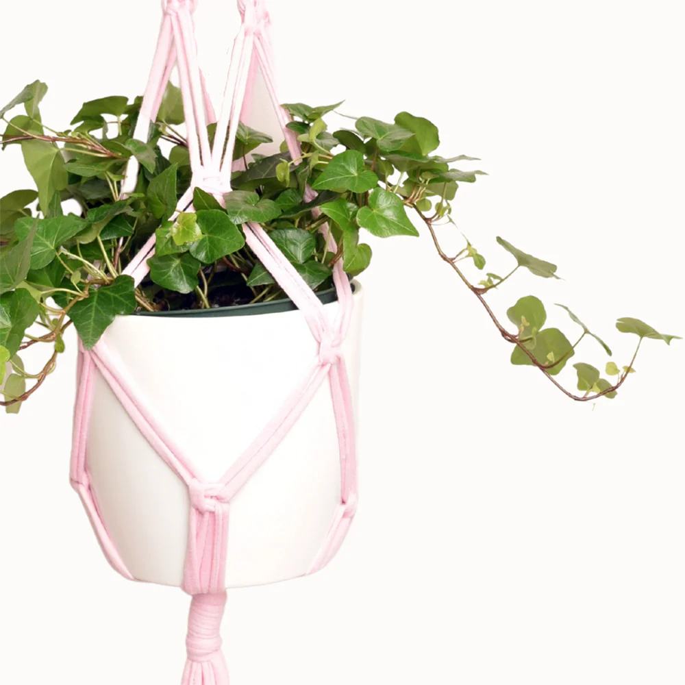 DIY Eco Macram�� Plant Hanger Kit